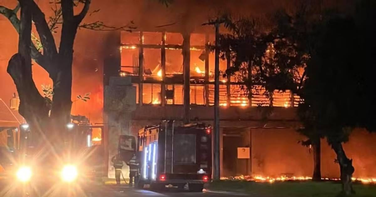 "Um prejuízo enorme para a sociedade": o que se perdeu no incêndio da UFPE