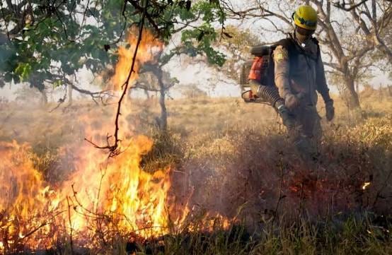 Novas técnicas de combate ao fogo fizeram diminuir mais de 60 por cento das queimadas em Goiás