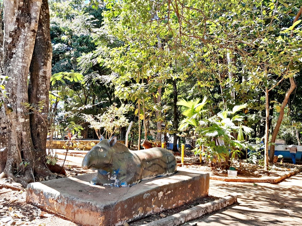 Parque da Matinha terá revitalização de R$ 6,298 milhão e prazo de 15 meses