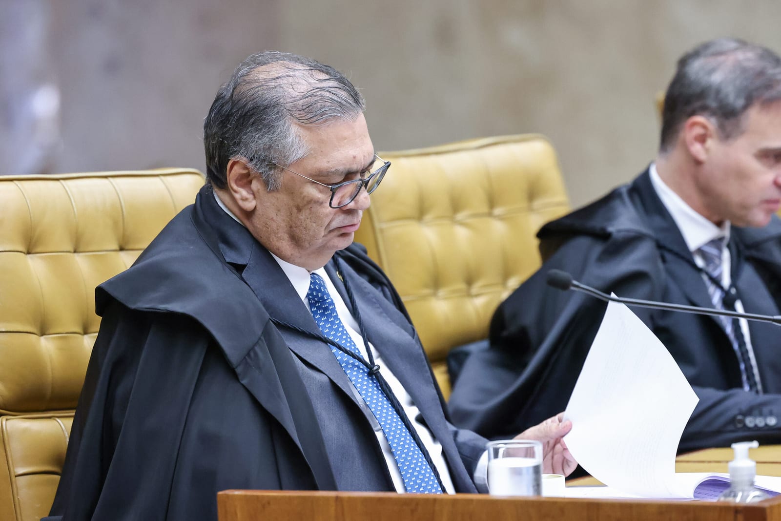 STF reinicia em sessão presencial análise dos impactos ambientais da Lei da Liberdade Econômica