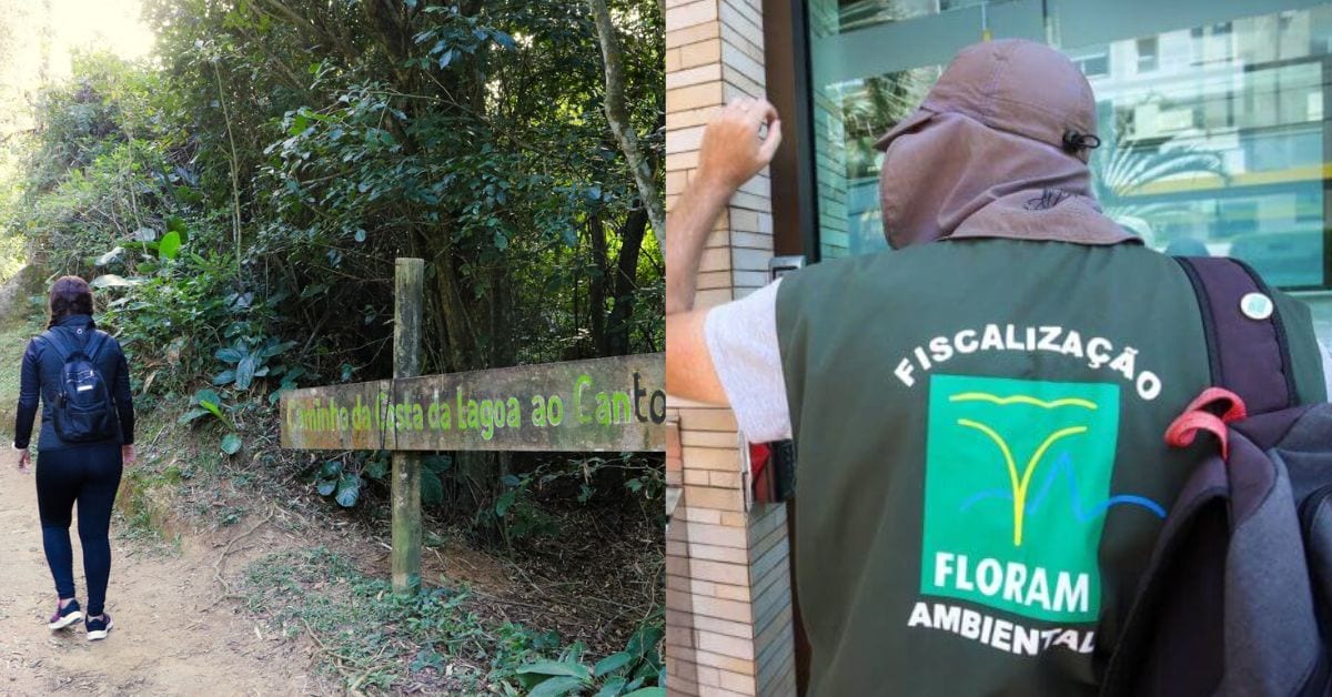 Florianópolis: Floram abre inscrições para curso que permite atuar como condutor em áreas de conservação