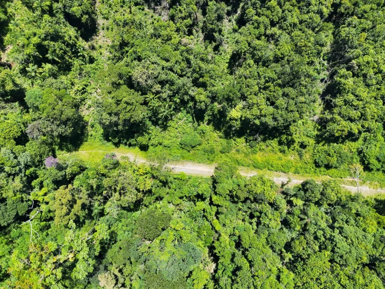 PM Ambiental usa drones e satélites para combater queimadas em SP