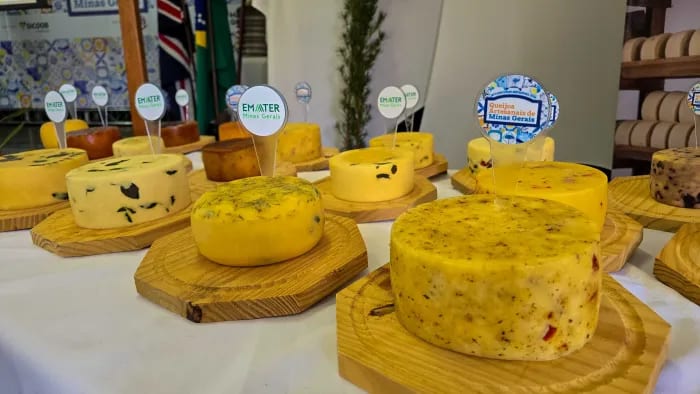 Julgamento dos finalistas do Concurso Estadual dos Queijos Artesanais de Minas Gerais acontece na próxima quarta-feira (