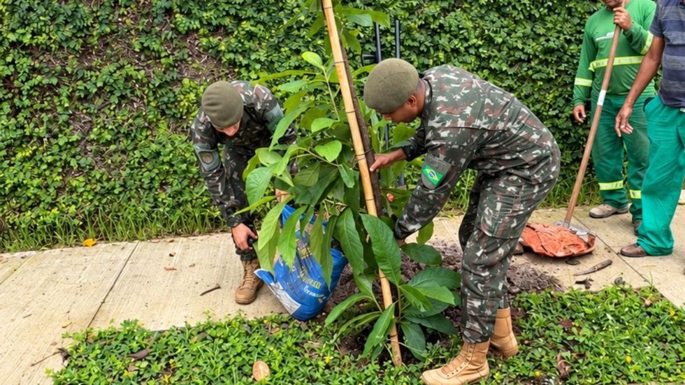 Guarujá e Exército plantam oito mudas de árvores nativas em vias públicas