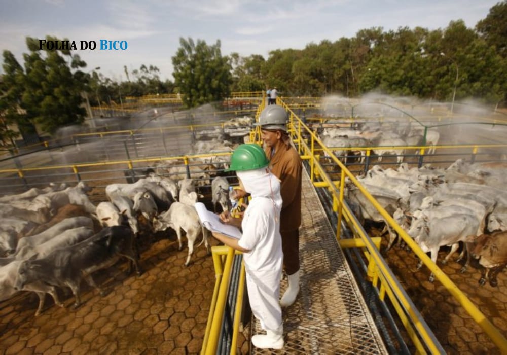 PIB do Pará cresce 1,17% no segundo trimestre e supera avanço nacional