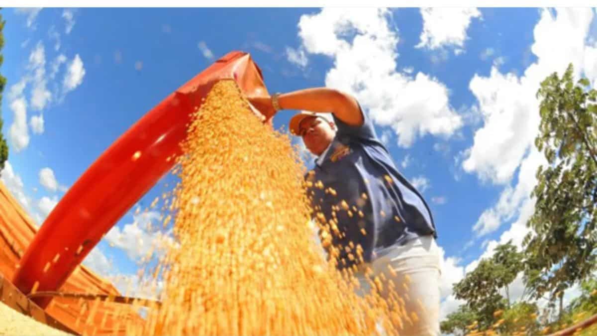 Senado aprova ampliar produtos e regras do Programa de Venda em Balcão