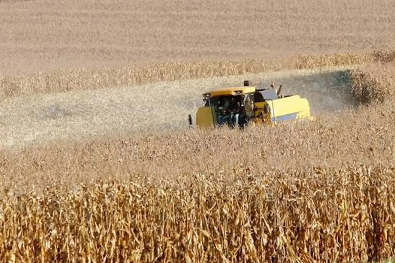 Agro do Paraná cobra medidas do governo Lula para enfrentar dívidas, custos e desafios climáticos