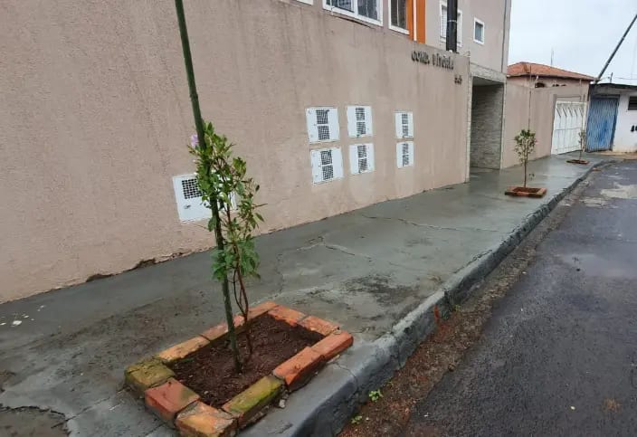 Botucatu Cidade Viva chega ao Centro com nova etapa de arborização urbana