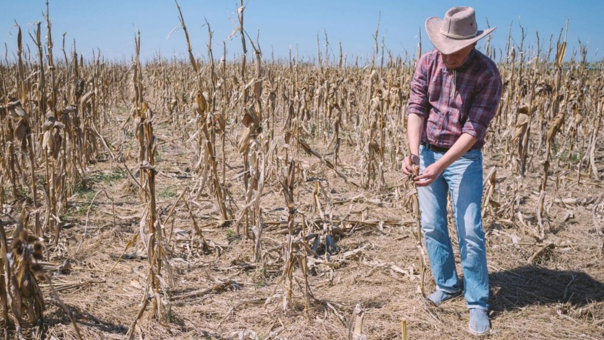 Desertificação leva Caatinga e segurança hídrica do Brasil à COP17, 17–28 de agosto