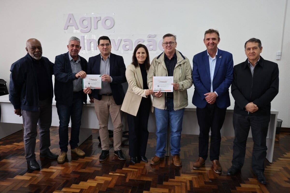 Abertura da Colheita do Tabaco será em novembro