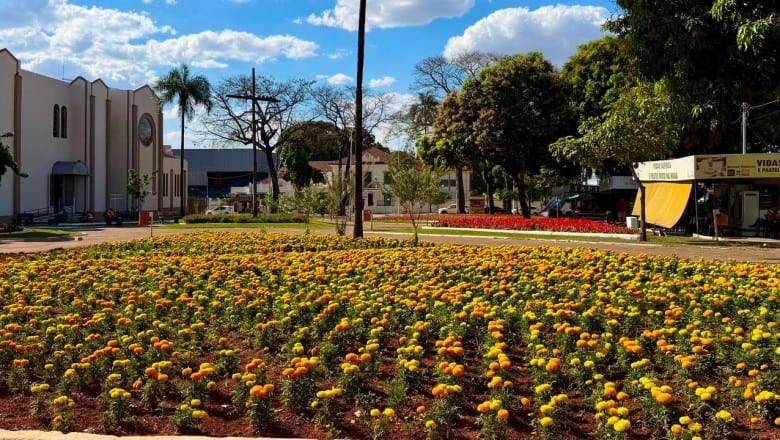 Goiânia pode ganhar 300 pontos floridos até 2027; veja áreas mapeadas pela Comurg
