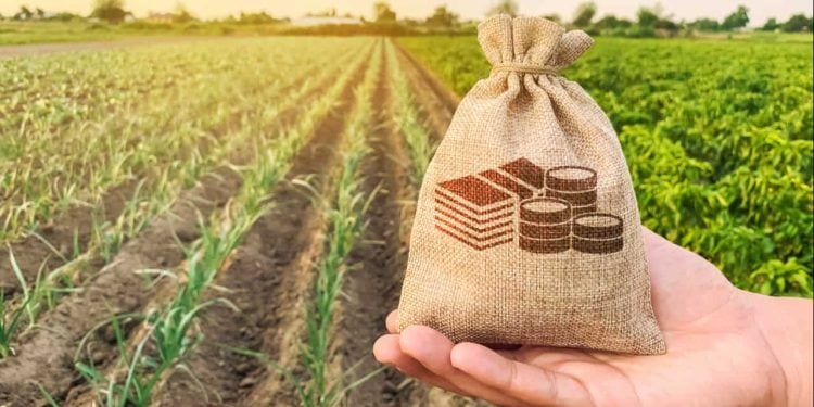 Inadimplência do crédito rural para pessoa física alcança 9,7% em agosto
