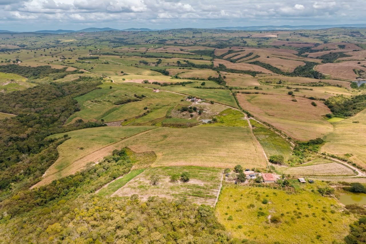 Assentamento Grelmar Brand produz 2,425 milhões de kg de milho por ano