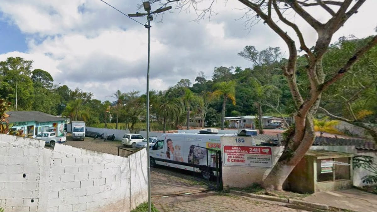 Câmara de Ribeirão Pires cria Secretaria de Bem-Estar Animal