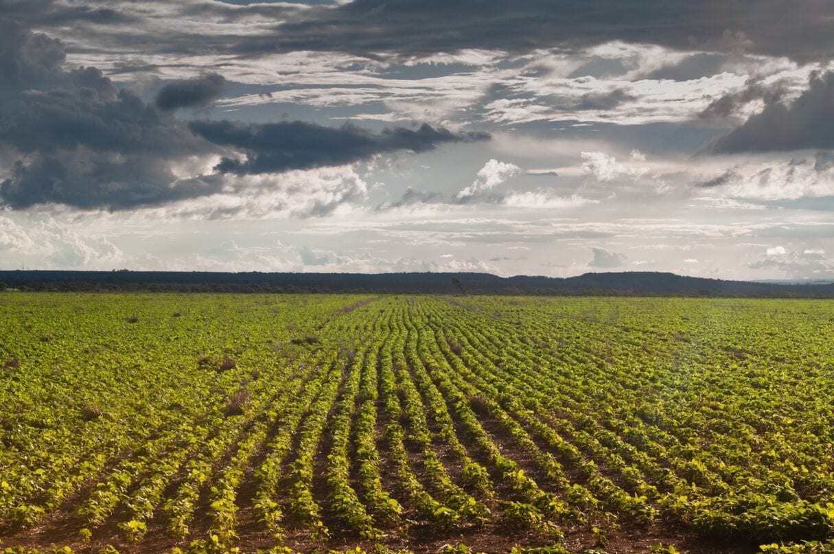 Senado aprova Profert, programa para fabricar fertilizantes no Brasil