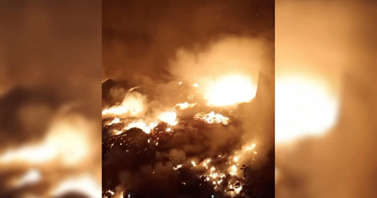 Combate aos incêndios criminosos no Amazonas: reforço nas fiscalizações