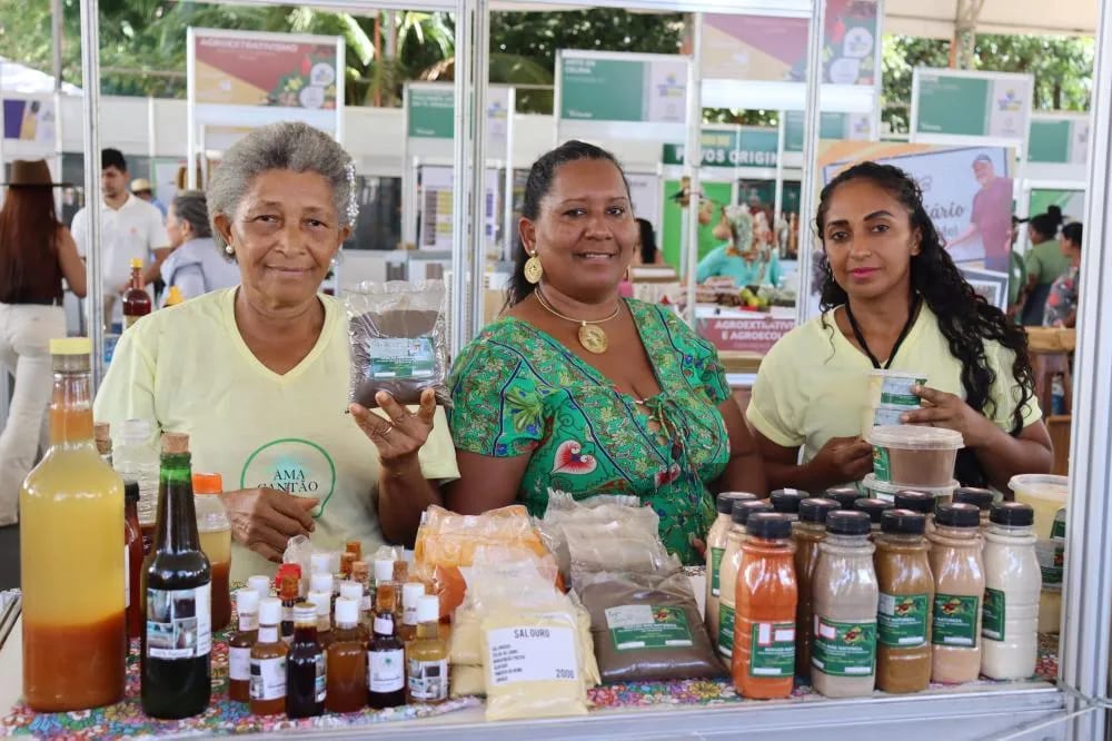 Governo do Tocantins realiza Seminário Estadual de Economia Popular e Solidária nesta quinta-feira, 29