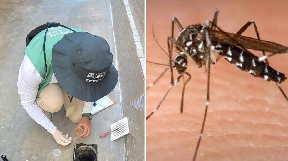 Bairro Boqueirão recebe 22º Mutirão contra o mosquito da dengue a partir de quarta-feira