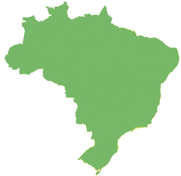 158.745.463 eleitores aptos a votar em 4 de outubro