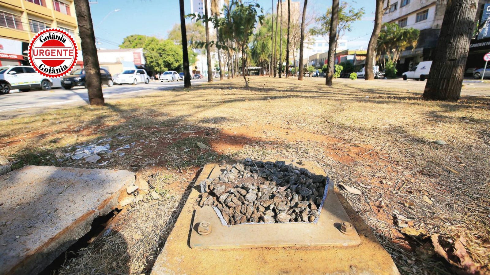 Avenida Goiás teve 47 das 71 luminárias art déco removidas por furtos e vandalismo
