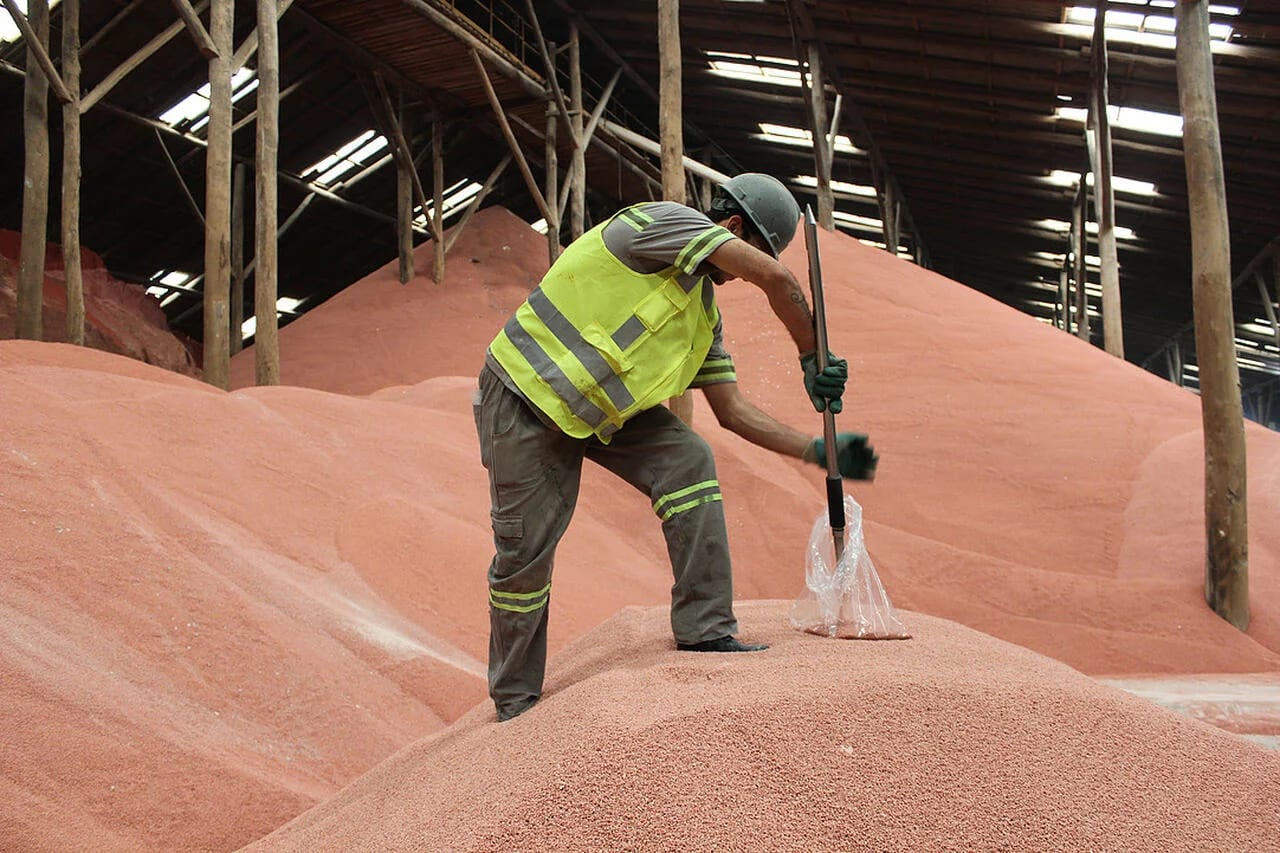 Pedidos de crédito para fertilizantes disparam 190% e chegam a R$ 2,9 bilhões no BNDES