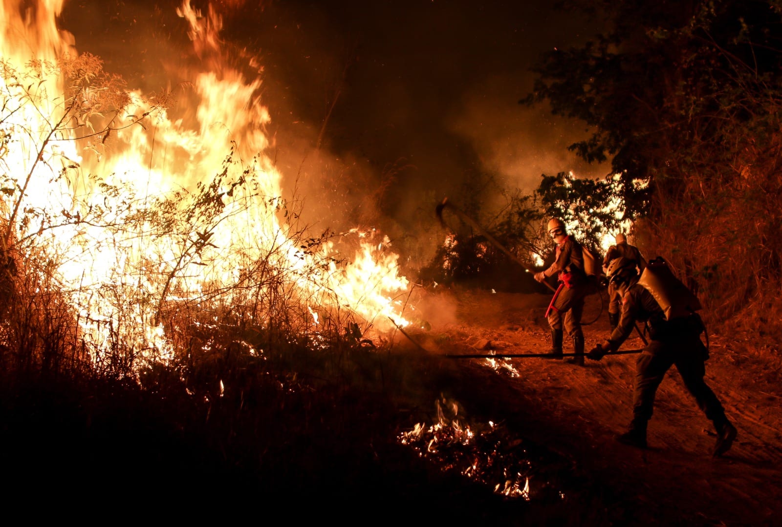 Goiás decreta emergência ambiental por 120 dias e proíbe queimadas na estiagem