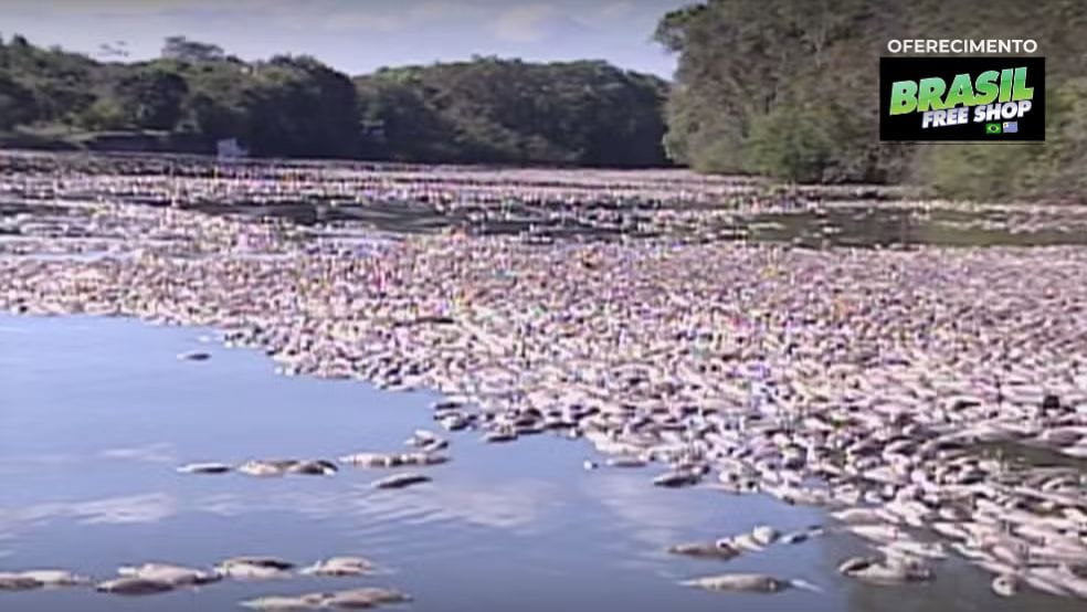 Vinte anos depois da tragédia que matou 86 toneladas de peixes, rio no RS ainda enfrenta desafios contra a poluição