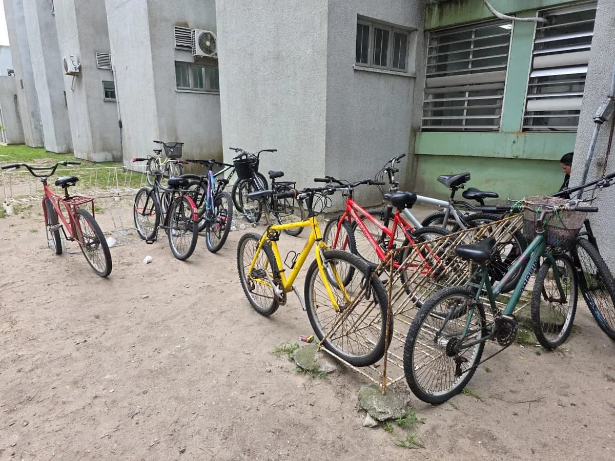 Economia e saúde fazem bicicleta virar alternativa de transporte em Rio Grande em meio a desafios no trânsito