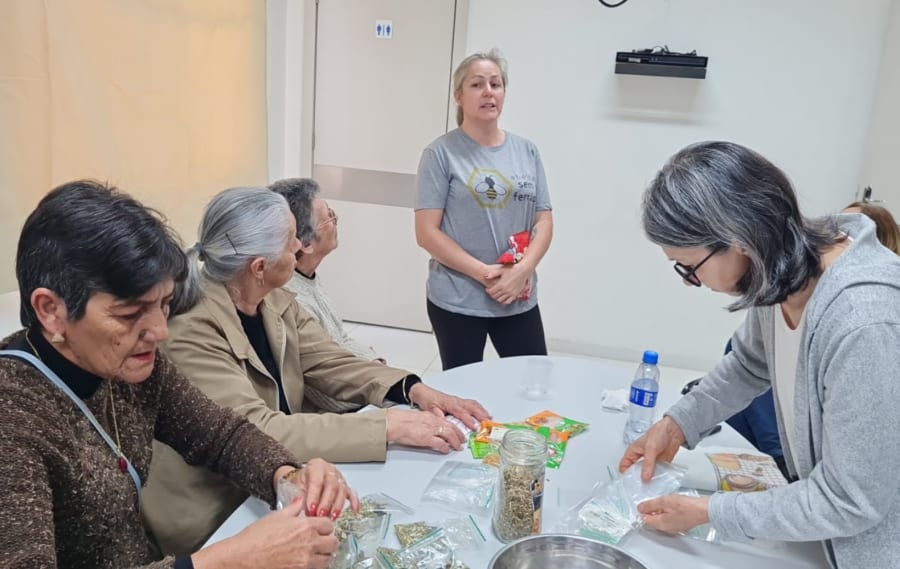 Oficina sobre plantas medicinais promove aprendizado e integração na UBS Centro de Erechim