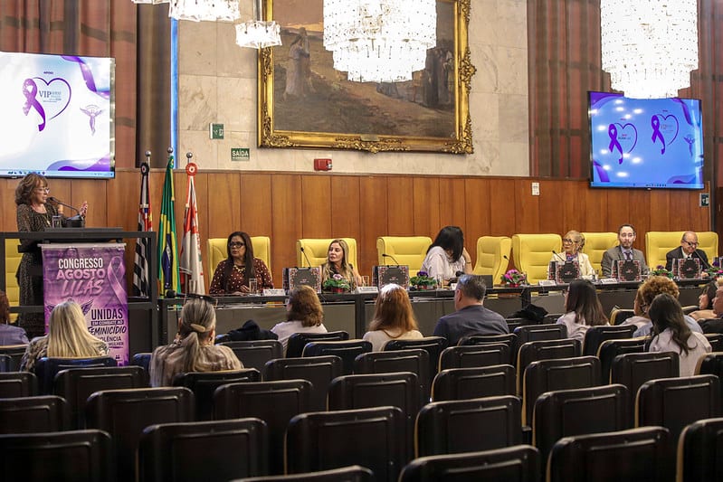 Câmara de SP sediou congresso sobre combate ao feminicídio em 21/08