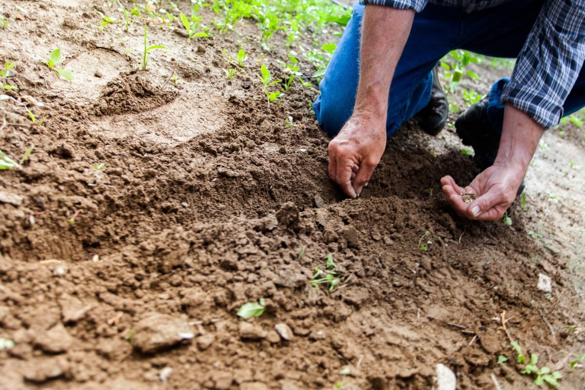 Câmara aprova projeto que cria Política Nacional de Agroecologia e Produção Orgânica