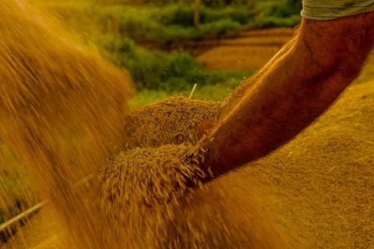 MP abre R$ 925 milhões no Orçamento de 2026 contra o El Niño