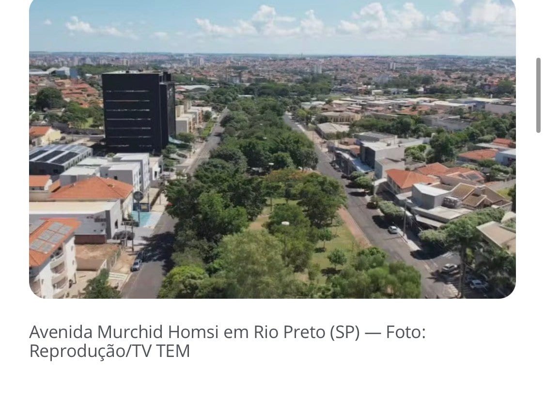 Justiça suspende licitação que previa corte de 943 árvores em Rio Preto