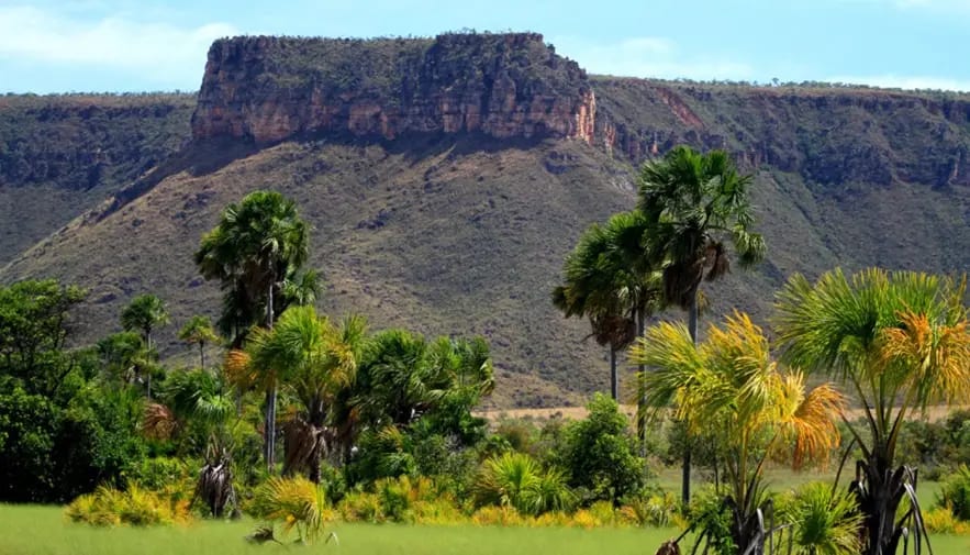 FAET entra na comissão e agro passa a discutir reformulação do ZEE no Tocantins