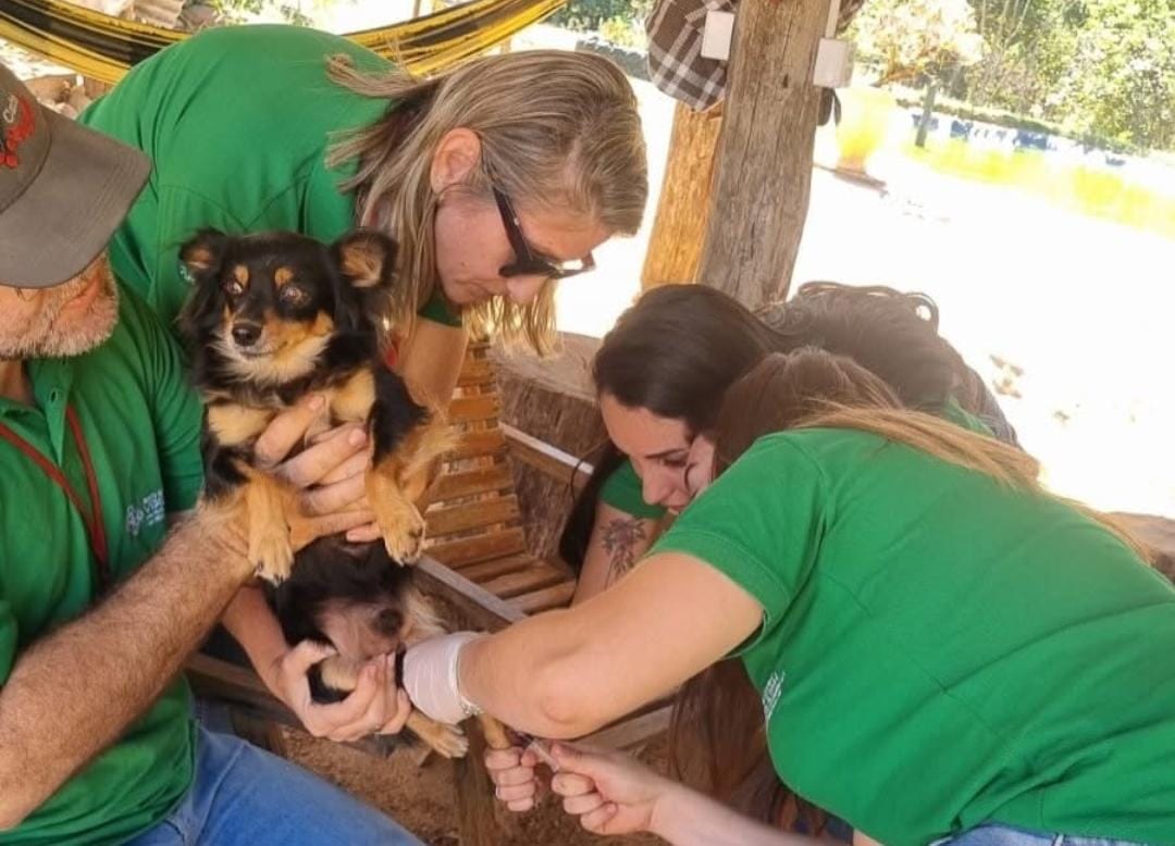 Mineiros faz ação preventiva contra leishmaniose na zona rural do Pinga Fogo