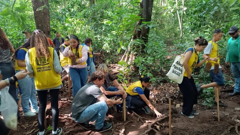 Goiânia prepara plantio de 25 mil árvores durante o período de chuvas
