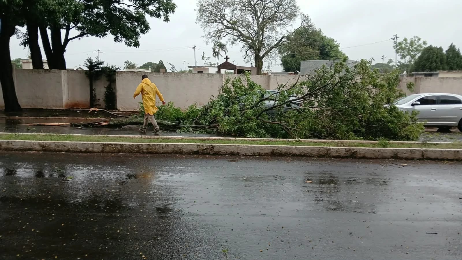 Governo de São Paulo mobiliza ajuda para atender cidades atingidas por forte chuva no oeste e monitora avanço na Grande