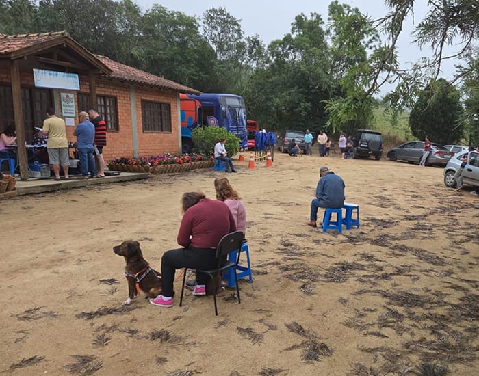 Programa de castração ultrapassa 700 animais