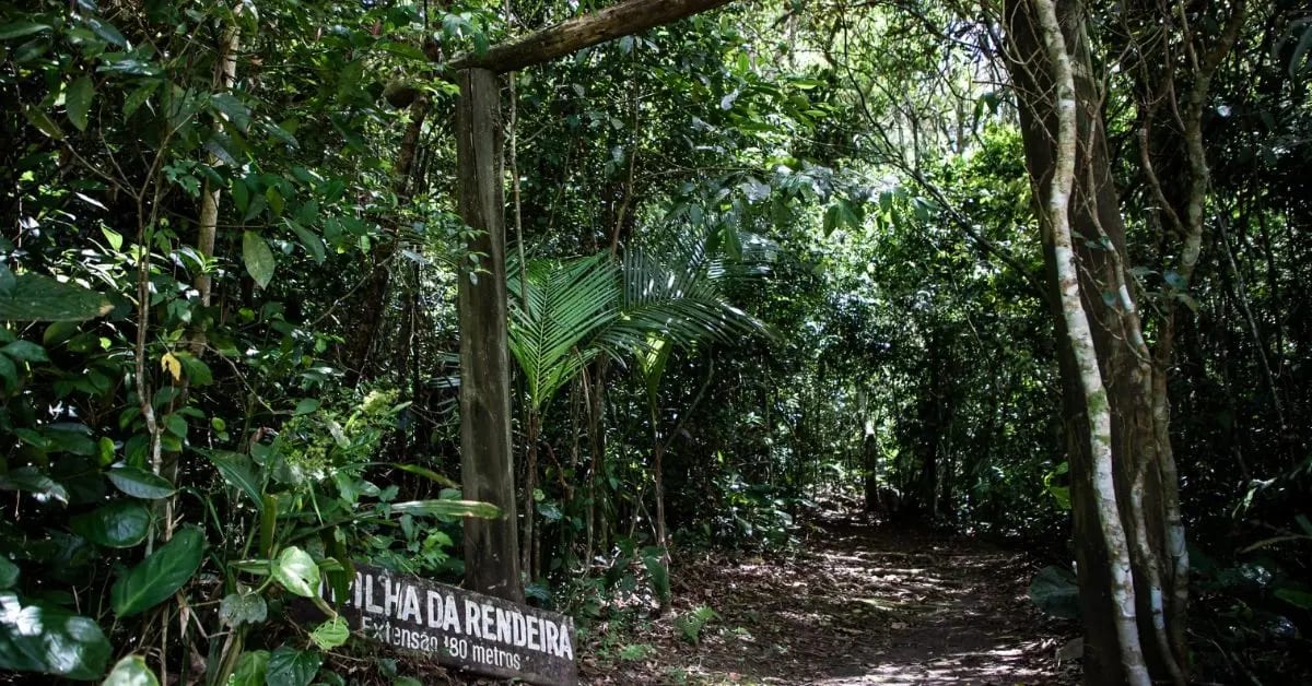 Florianópolis: Parque Natural Municipal do Morro da Cruz ganha novas regras de uso e preservação