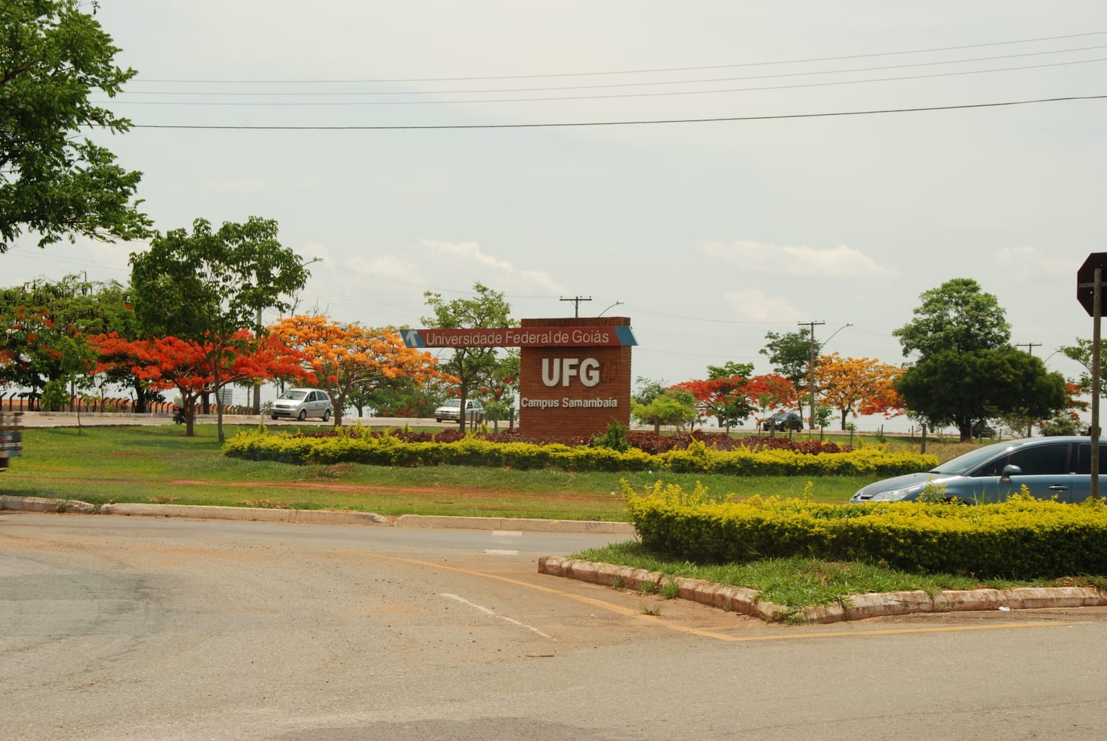 Doze cientistas da UFG estão entre os 2% mais influentes do mundo
