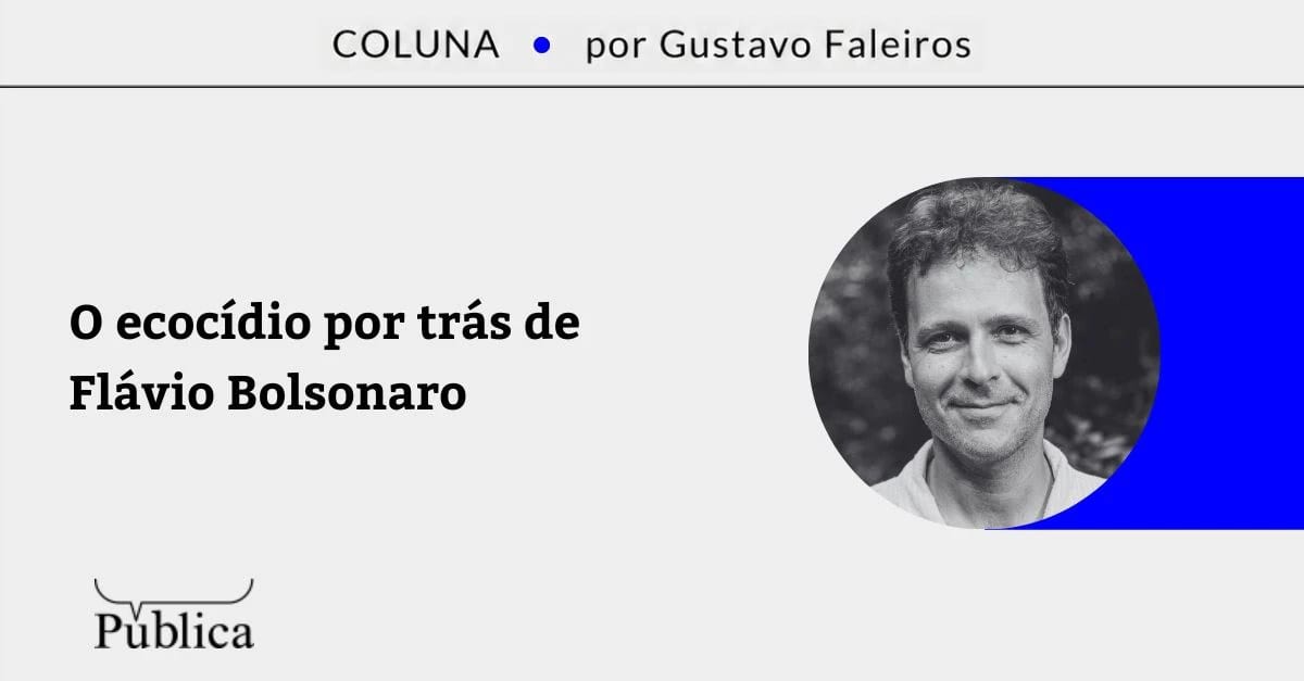 O ecocídio por trás de Flávio Bolsonaro