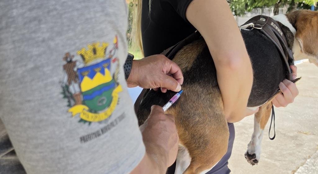 Prefeitura realiza vacinação antirrábica de cães e gatos no Piratininga e Vila São José