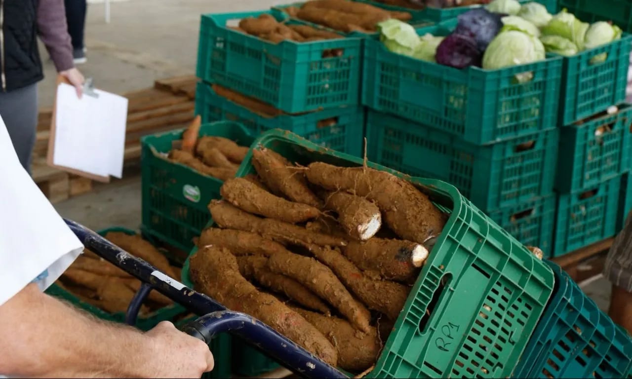 Joinville fará reunião em 16/quarta para incluir agricultores no PAA