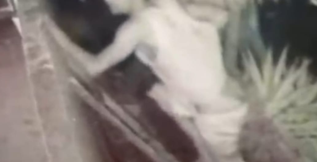 Moradores de Rio Grande relatam onda de furtos e invasões em seis meses