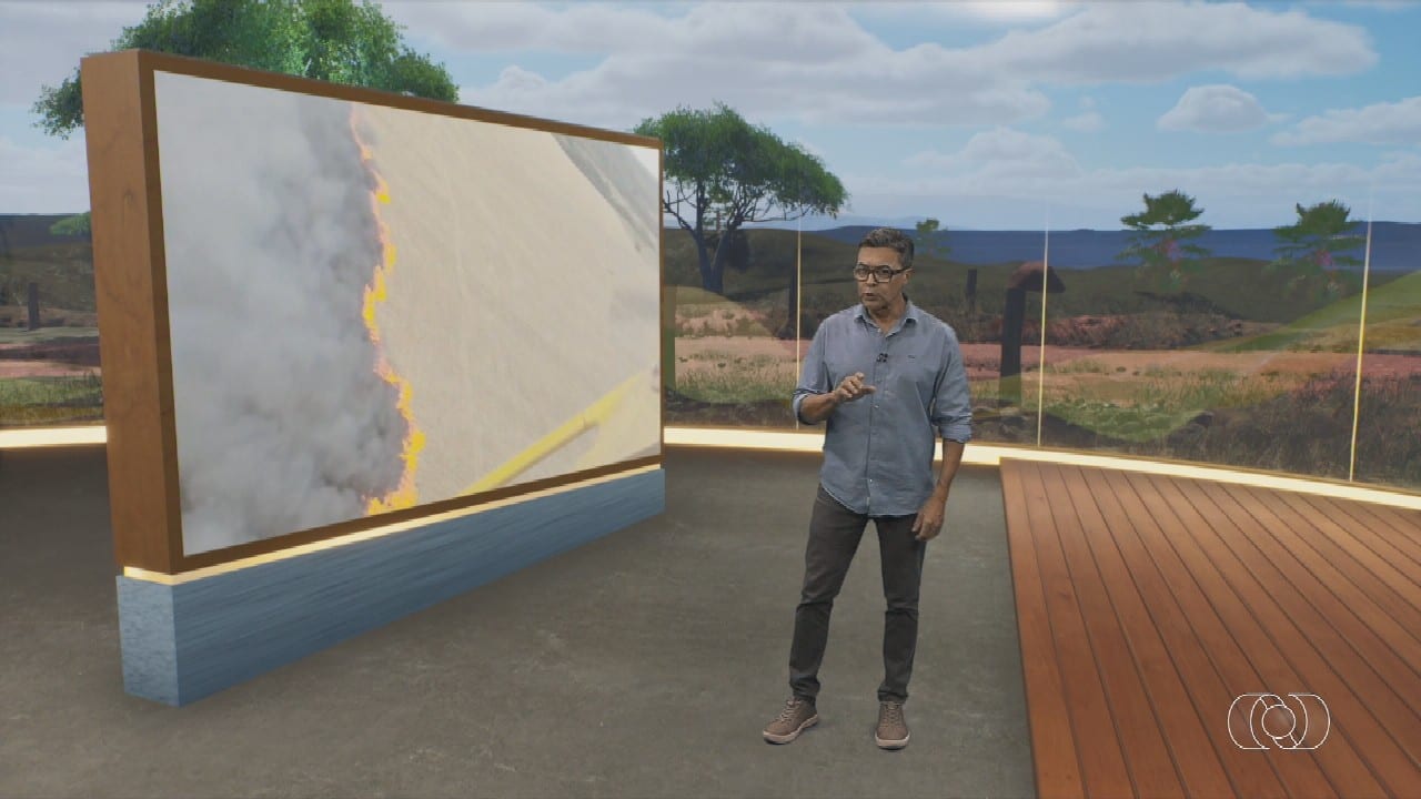 Jornal do Campo (27/9/2026): girassol, tomate, chuva e incêndios em Goiás