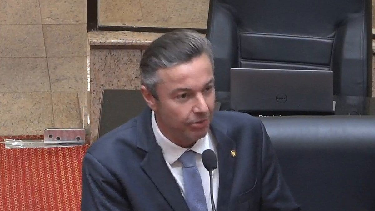 Napoleão Bernardes diz na Alesc que brasileiros têm de parcelar pizza no iFood