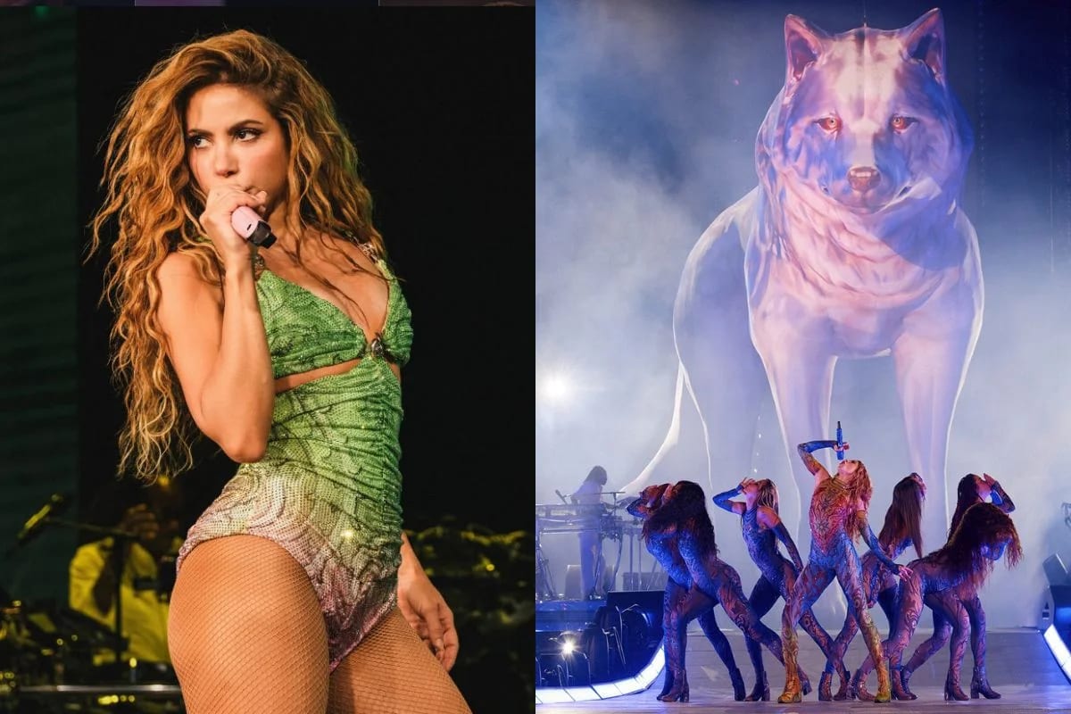 Febre pet: Shakira dispara entre os nomes mais populares de doguinhos