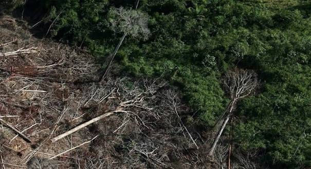 Amazônia registra menor desmatamento da década: 2.874 km²