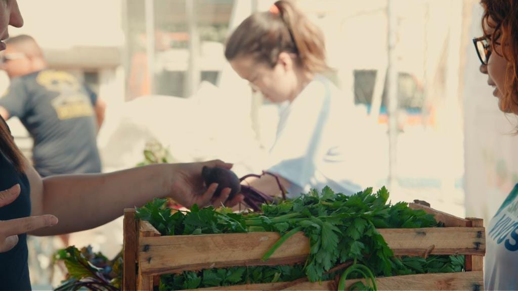 Taubaté convoca consulta pública para 1º Plano de Segurança Alimentar
