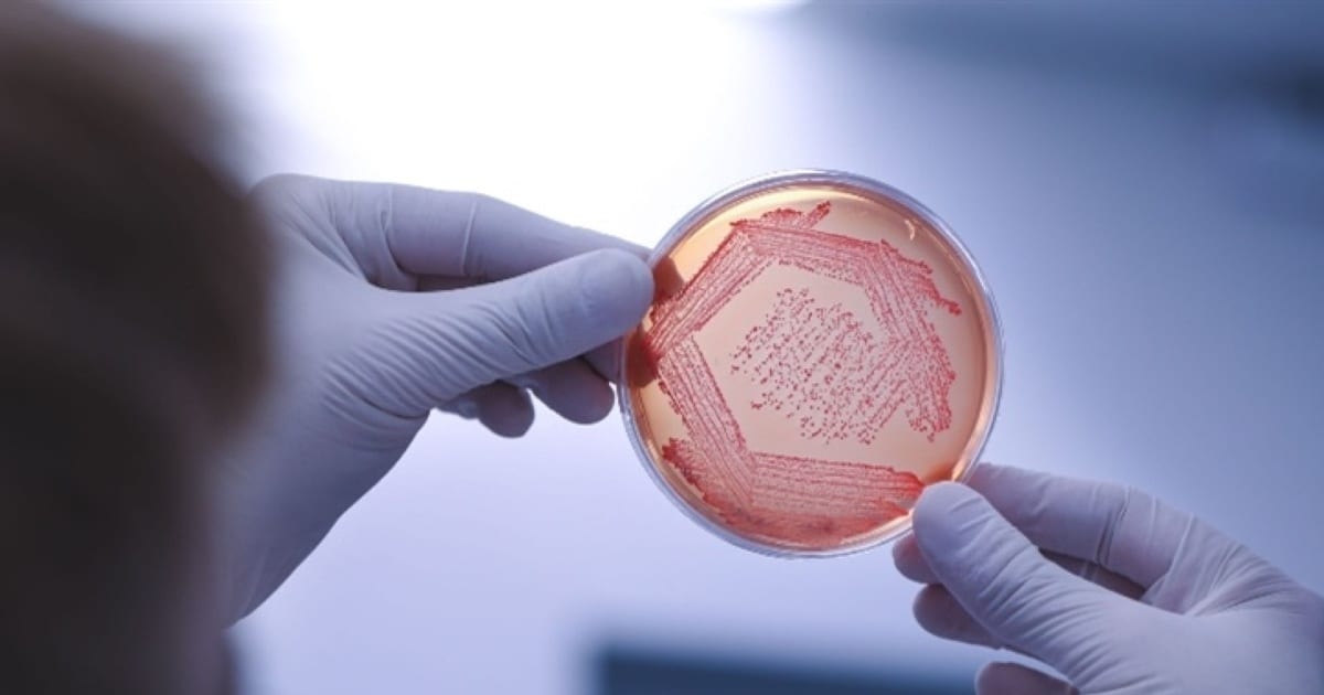 Bioinsumos disputam espaço no orçamento das fazendas